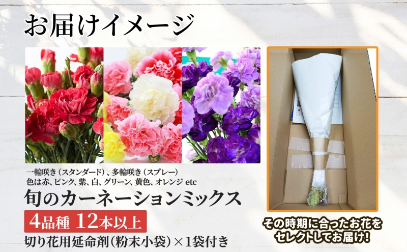 ïŒ7æé
éïŒ åæµ·é ã«ãŒããŒã·ã§ã³ ããã¯ã¹ 4åçš® 12æ¬ä»¥äž åãè± åè± è±æ ããŒã± å£ç¯ æ¬ çè± ãã©ã¯ãŒ ã¢ã¬ã³ãžã¡ã³ã èšå¿µæ¥ ç£å°çŽé ã€ããããµãããšè±ã®äŒ