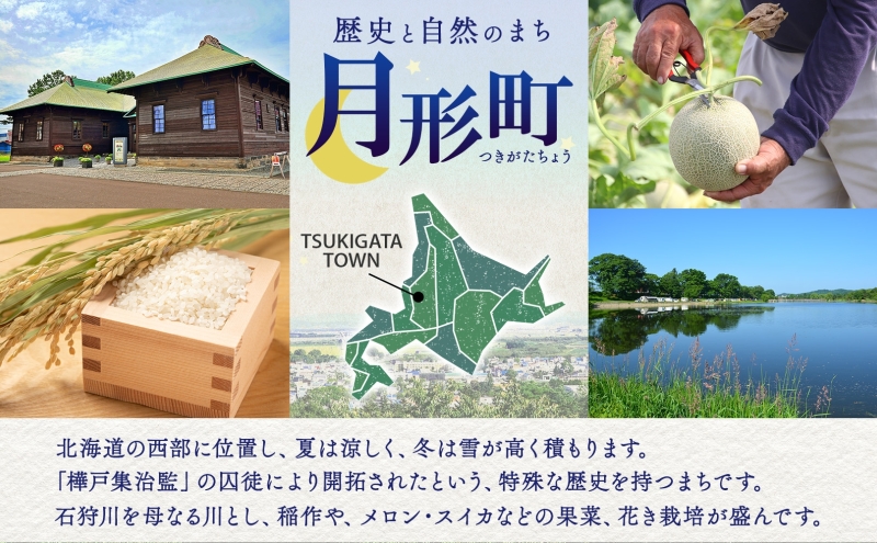米 ゆめぴりか【 数量限定 限定寄附額 最短 5営業日以内発送 】 令和7年産 北海道 月形町産 5kg(5kg×1袋) 白米 お米 こめ コメ おこめ 最短配送 特A 北海道産 北海道米