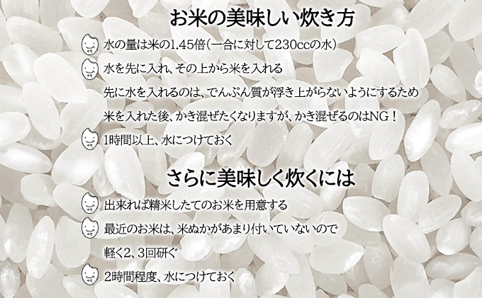 米 ななつぼし 定期便 3ヵ月連続3回【 数量限定 限定寄附額 】 令和7年産 北海道 月形町産 10kg(5kg×2袋) 白米 お米 こめ コメ おこめ 特A 北海道産 北海道米