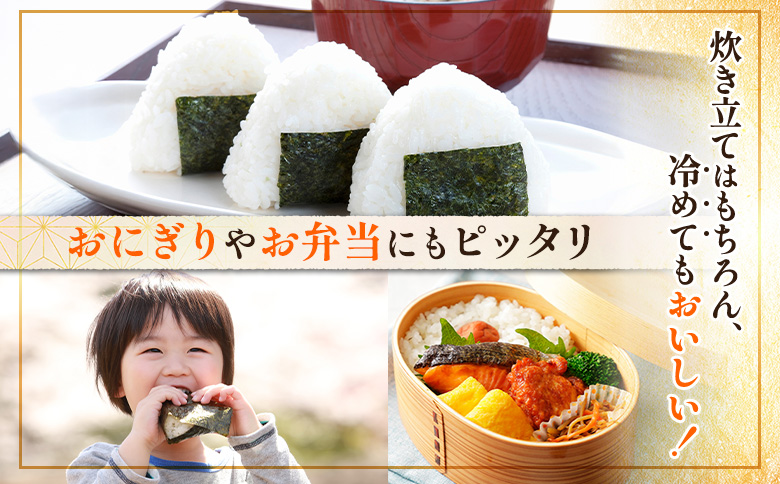 【令和7年度産】ななつぼし 精米 5kg ｜ オンライン 申請 ふるさと納税 北海道 新十津川 北海道産 米 ブランド ブランド米 お米 北海道米 道産米 道産 ご飯 美味しい ギフト  贈り物 プレゼント お取り寄せ 新十津川町 日本穀物検定協会 食味ランキング 特Ａ【1100306】