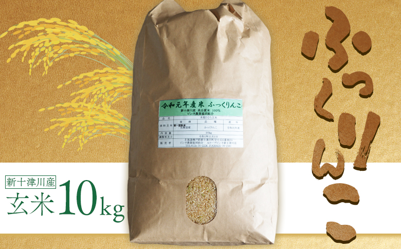 【令和7年度産】 ふっくりんこ 玄米 10kg ｜ オンライン 申請 ふるさと納税 北海道 新十津川 北海道産 米 ブランド ブランド米 お米 北海道米 道産米 ご飯 美味しい ギフト  贈り物 お取り寄せ 新十津川町【1101805】