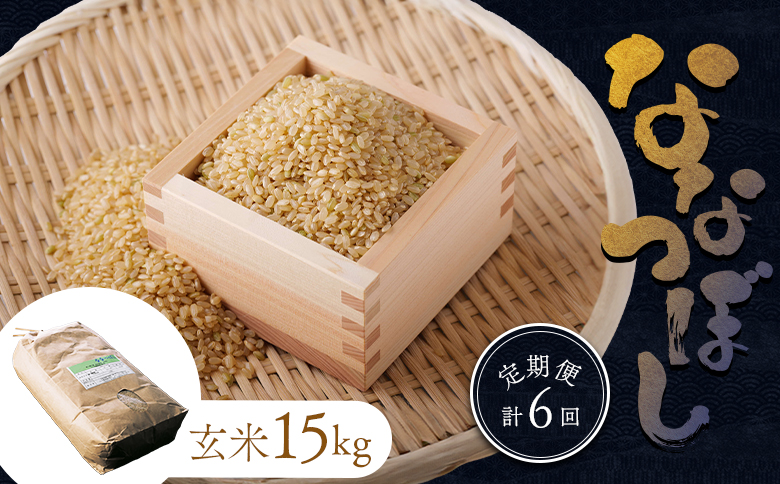 令和7年 ななつぼし 玄米 定期便 6回 15kg ｜ オンライン 申請 ふるさと納税 北海道 新十津川 北海道産 米 ブランド ブランド米 お米 北海道米 道産米 道産 ご飯 ごはん 美味しい 大容量 ギフト  贈り物 お取り寄せ 新十津川町 日本穀物検定協会 食味ランキング 特Ａ【1101105】