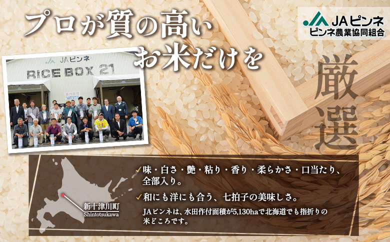 【令和7年度産】 ななつぼし 精米 10kg ｜ オンライン 申請 ふるさと納税 北海道 新十津川 北海道産 米 ブランド ブランド米 お米 北海道米 道産米 道産 ご飯 美味しい ギフト  贈り物 プレゼント お取り寄せ 新十津川町 日本穀物検定協会 食味ランキング 特Ａ【11066】