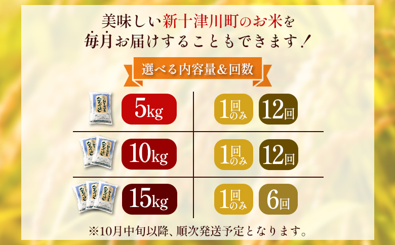 【令和7年度産】 ななつぼし 精米 10kg ｜ オンライン 申請 ふるさと納税 北海道 新十津川 北海道産 米 ブランド ブランド米 お米 北海道米 道産米 道産 ご飯 美味しい ギフト  贈り物 プレゼント お取り寄せ 新十津川町 日本穀物検定協会 食味ランキング 特Ａ【11066】