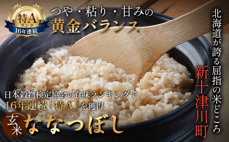 令和8年度産 ななつぼし 玄米 定期便 2回 10kg  ｜ オンライン 申請 ふるさと納税 北海道 新十津川 北海道産 米 ブランド ブランド米 お米 北海道米 道産米 道産 ご飯 美味しい ギフト  贈り物 お取り寄せ 新十津川町 日本穀物検定協会 食味ランキング 特Ａ【11026】