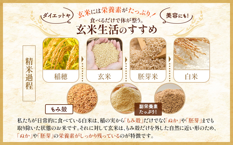 令和8年度産 ななつぼし 玄米 定期便 2回 10kg  ｜ オンライン 申請 ふるさと納税 北海道 新十津川 北海道産 米 ブランド ブランド米 お米 北海道米 道産米 道産 ご飯 美味しい ギフト  贈り物 お取り寄せ 新十津川町 日本穀物検定協会 食味ランキング 特Ａ【11026】