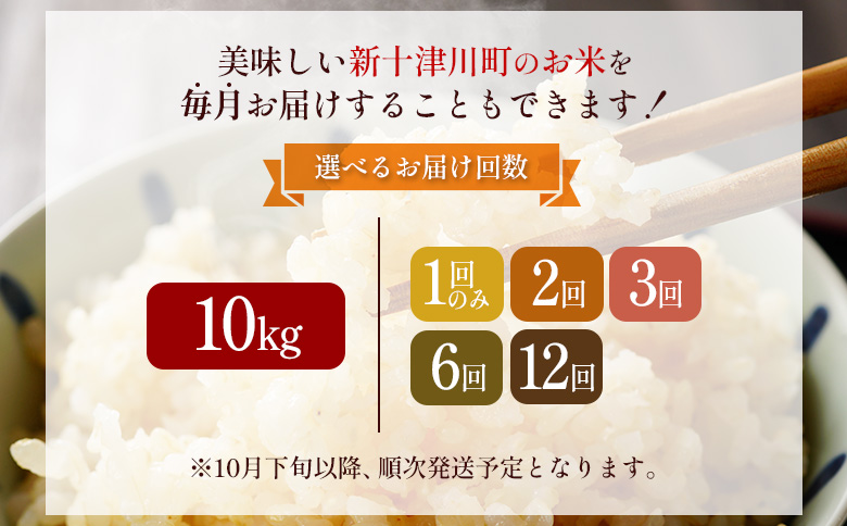 令和8年度産 ななつぼし 玄米 定期便 2回 10kg  ｜ オンライン 申請 ふるさと納税 北海道 新十津川 北海道産 米 ブランド ブランド米 お米 北海道米 道産米 道産 ご飯 美味しい ギフト  贈り物 お取り寄せ 新十津川町 日本穀物検定協会 食味ランキング 特Ａ【11026】