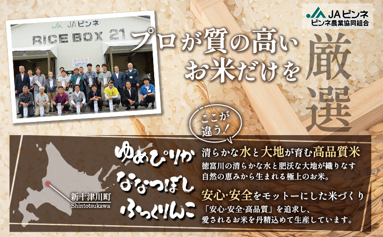 【令和8年度産】 ゆめぴりか ななつぼし ふっくりんこ 精米セット 計15kg ｜ オンライン 申請 ふるさと納税 北海道 新十津川 北海道産 米 ブランド ブランド米 お米 組み合わせ 北海道米 ご飯 美味しい ギフト  贈り物 お取り寄せ 新十津川町 日本穀物検定協会 食味ランキング【11064】