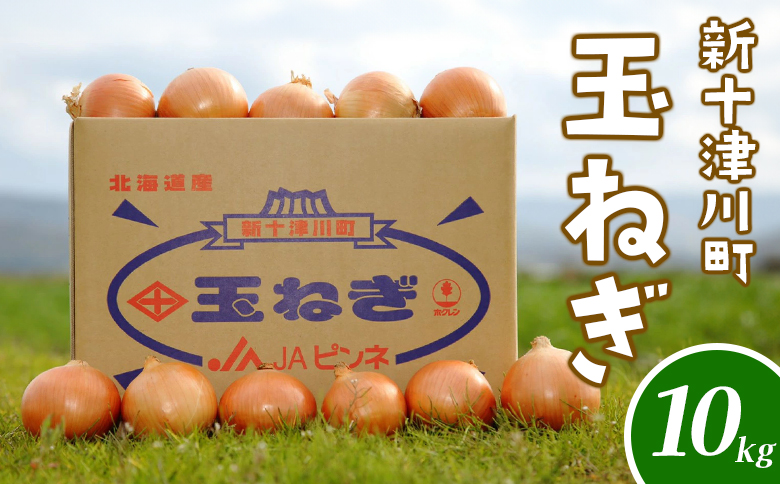 先行受付 北海道 玉ねぎ Lサイズ 10kg ｜ オンライン 申請 ふるさと納税 北海道 新十津川 北海道産 たまねぎ タマネギ 玉葱 L 大容量　箱 新鮮 甘い 高品質 野菜 やさい サラダ 新十津川町【1200102】