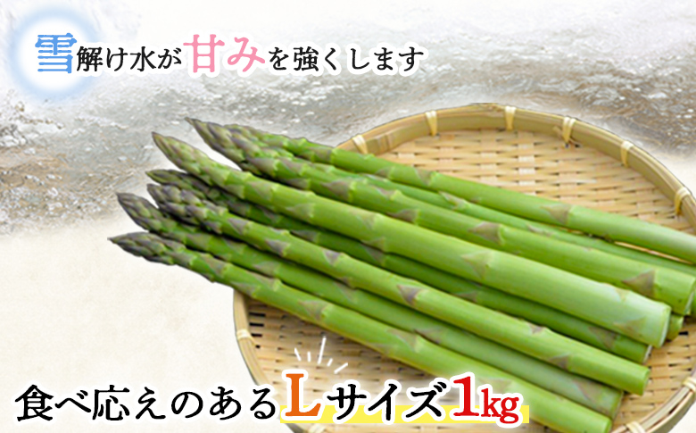 å
è¡åä» ã°ãªãŒã³ã¢ã¹ãã© Lãµã€ãº 1kg ã什å8幎5æäžæ¬ïœ6æäžæ¬çºéãïœ ãªã³ã©ã€ã³ ç³è« ãµãããšçŽçš åæµ·é æ°åæŽ¥å· åæµ·éç£ ã¢ã¹ãã© ããã±ã ã¢ã¹ãã©ã¬ã¹ ã°ãªãŒã³ã¢ã¹ãã©ã¬ã¹ æã©ã ææ¡ã ææ¡ã çã éè ããã æ°é®® å€§å®¹é æ°å接å·çºã1201503ã