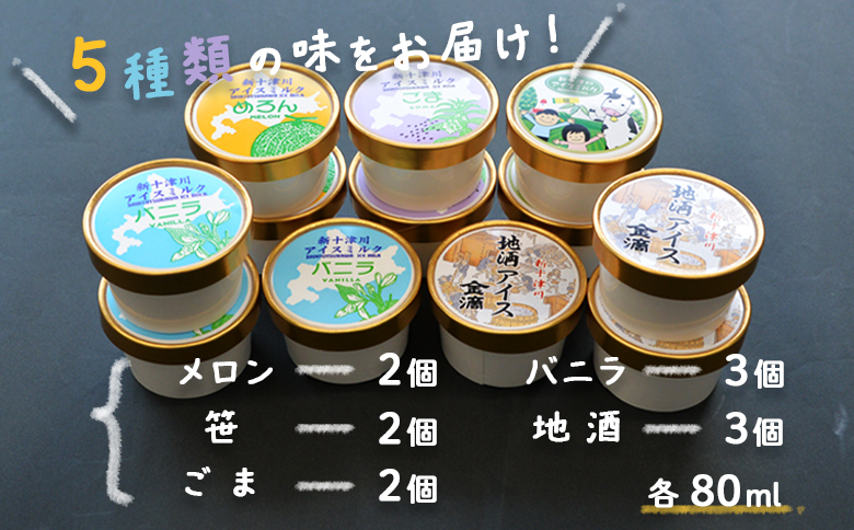 ヘルシーアイスセット | オンライン 申請 ふるさと納税 北海道 新十津川 アイス アイスクリーム 健康 低脂肪 低カロリー バラエティ バラエティセット 体に優しい 無着色 無香料 子供 こども ギフト 贈り物 詰め合わせ 新十津川町【1200902】