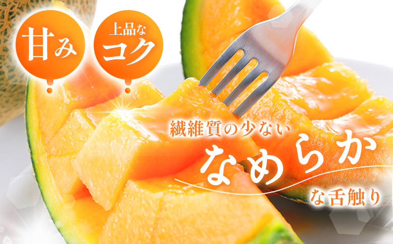 【数量限定】 赤肉メロン２玉・ミニメロンゼリーセット【令和8年７月～８月上旬発送】|  メロン 北海道 赤玉 セット メロンゼリー ゼリー 詰め合わせ オンライン申請 オンライン ワンストップ マイページ デザート 果物 フルーツ 赤肉メロン 赤肉 ふるさと納税 北海道 新十津川 新十津川町【1201706】