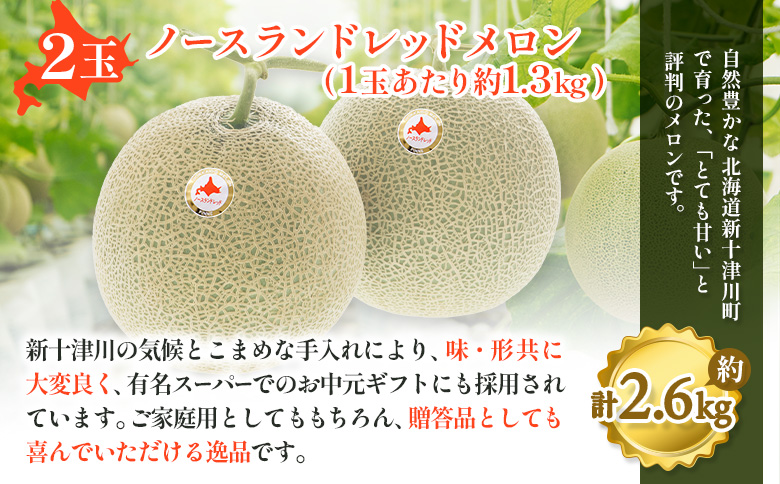 【数量限定】 赤肉メロン２玉・ミニメロンゼリーセット【令和8年７月～８月上旬発送】|  メロン 北海道 赤玉 セット メロンゼリー ゼリー 詰め合わせ オンライン申請 オンライン ワンストップ マイページ デザート 果物 フルーツ 赤肉メロン 赤肉 ふるさと納税 北海道 新十津川 新十津川町【1201706】