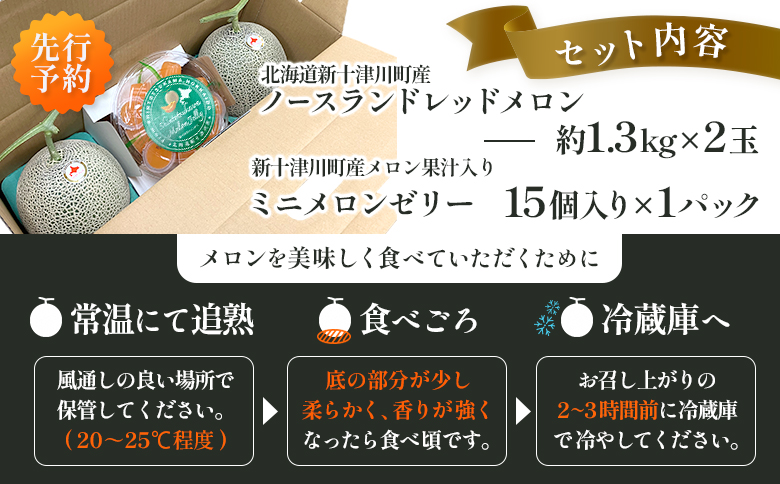 【数量限定】 赤肉メロン２玉・ミニメロンゼリーセット【令和8年７月～８月上旬発送】|  メロン 北海道 赤玉 セット メロンゼリー ゼリー 詰め合わせ オンライン申請 オンライン ワンストップ マイページ デザート 果物 フルーツ 赤肉メロン 赤肉 ふるさと納税 北海道 新十津川 新十津川町【1201706】