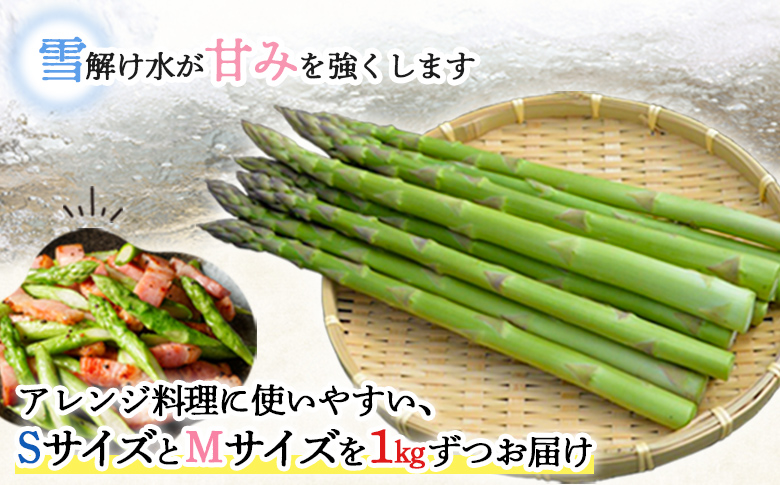 先行受付 グリーンアスパラ Sサイズ Mサイズ 2kg 【令和8年5月中旬～6月中旬発送】｜ オンライン 申請 ふるさと納税 北海道 新十津川 北海道産 アスパラ あすぱら アスパラガス グリーンアスパラガス　S M 朝どれ 朝採り 朝採れ 野菜 やさい 新鮮 新十津川町【1201602】