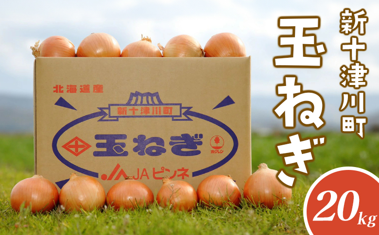 先行受付 玉ねぎ Lサイズ 20kg ｜ オンライン 申請 ふるさと納税 北海道 新十津川 北海道産 たまねぎ タマネギ 玉葱 L 大容量　箱 新鮮 甘い 高品質 野菜 やさい サラダ 新十津川町【1200202】