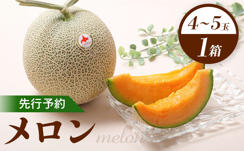 【先行予約】 赤肉メロン1箱（4～5玉） 【令和8年7月～8月上旬発送】 ｜ 先行予約 メロン 北海道 赤玉 セット オンライン申請 オンライン ワンストップ マイページ デザート 果物 フルーツ 赤肉メロン 赤肉 ふるさと納税 北海道 新十津川 新十津川町【1201801】