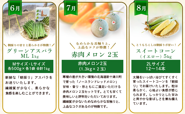 【新十津川町】夏の味覚定期便セット | ふるさと納税 北海道 新十津川 グリーンアスパラ アスパラ 赤肉メロン メロン スイートコーン コーン 野菜 果物 定期　定期便 お取り寄せ ワンストップ マイページ 新十津川総合振興公社 新十津川町【1203001】