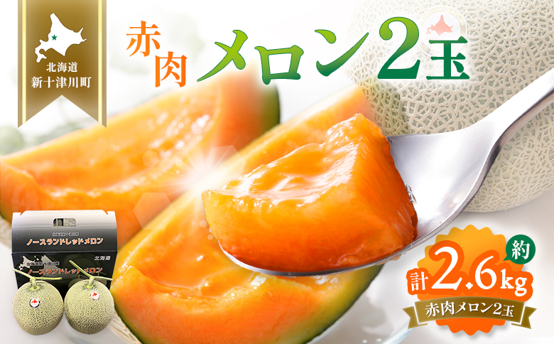 【先行予約】【数量限定】 赤肉メロン２玉【令和８年７月～８月上旬発送】| メロン 北海道 赤玉 セット詰め合わせ オンライン申請 オンライン ワンストップ マイページ デザート 果物 フルーツ 赤肉メロン 赤肉 ふるさと納税 北海道 新十津川 新十津川町【12031】