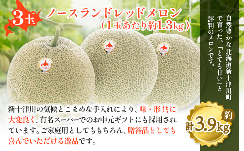 【先行予約】【数量限定】 赤肉メロン3玉【令和８年７月～８月上旬発送】【1203201】