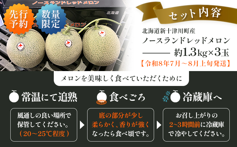 【先行予約】【数量限定】 赤肉メロン3玉【令和８年７月～８月上旬発送】【1203201】