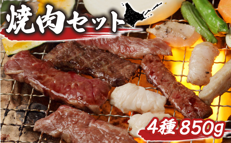 大畠精肉店 の 焼肉セット（計4種×850g） ｜ オンライン 申請 ふるさと納税 北海道 新十津川 焼肉セット 焼き肉セット カルビ サガリ タン ホルモン 食べ比べ 食べ比べセット 焼き肉 BBQ バーベキュー 冷凍 キャンプ アウトドア お取り寄せ 取り寄せ 新十津川町【1300902】