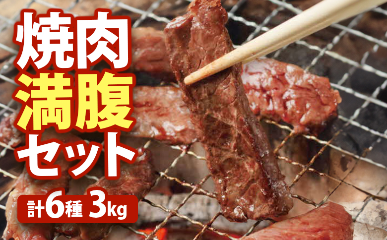大畠精肉店の焼肉満腹セット（計6種3kg） ｜ オンライン 申請 ふるさと納税 北海道 新十津川 焼肉セット 焼き肉セット カルビ サガリ ホルモン ジンギスカン 焼き肉 BBQ バーベキュー 食べ比べ 食べ比べセット 大容量 冷凍 お取り寄せ 取り寄せ 新十津川町【1301102】