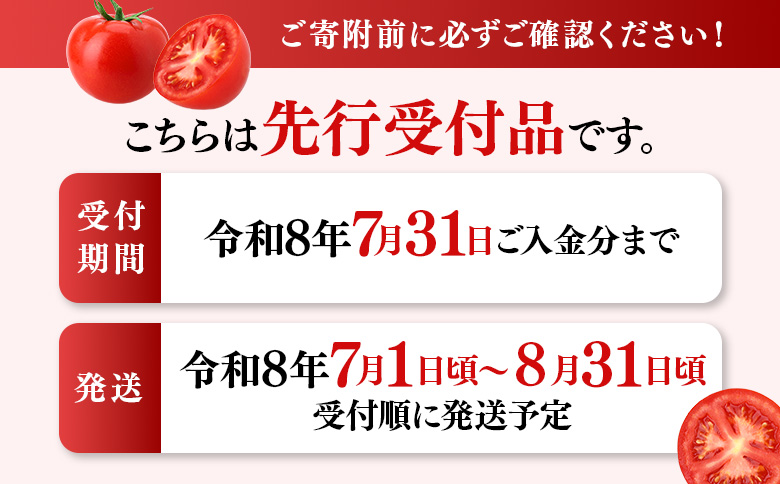 《先行受付》【特選】 清野ファームの高糖度トマト 54玉（約3.5kg）【令和8年7月1日頃～8月31日頃発送】 ｜ オンライン 申請 ふるさと納税 北海道 新十津川 北海道産 トマト 甘い 高糖度 フルーツトマト 糖度高い 完熟 完熟トマト 特選トマト ギフト 贈り物 野菜 やさい 新鮮 新十津川町【1800202】