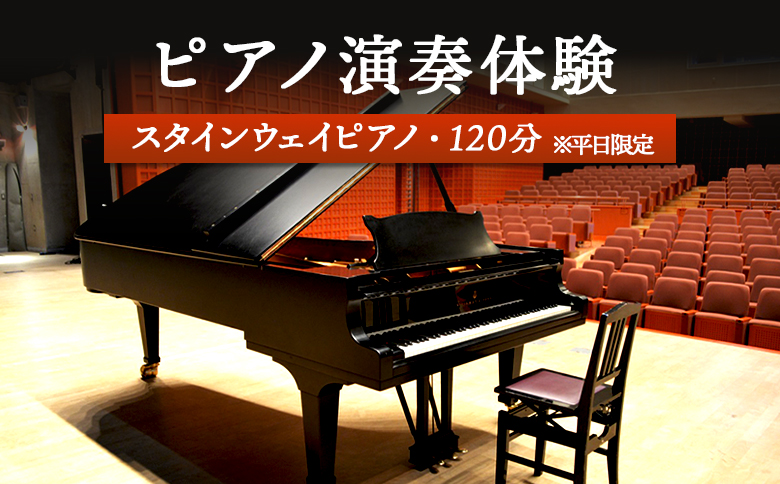 スタインウェイピアノ 試弾券 120分 平日限定 ｜ オンライン 申請 ふるさと納税 北海道 新十津川 ピアノ スタンウェイピアノ ピアノ試弾券 体験 ピアノ体験 ピアノ弾き放題 新十津川町【2100101】