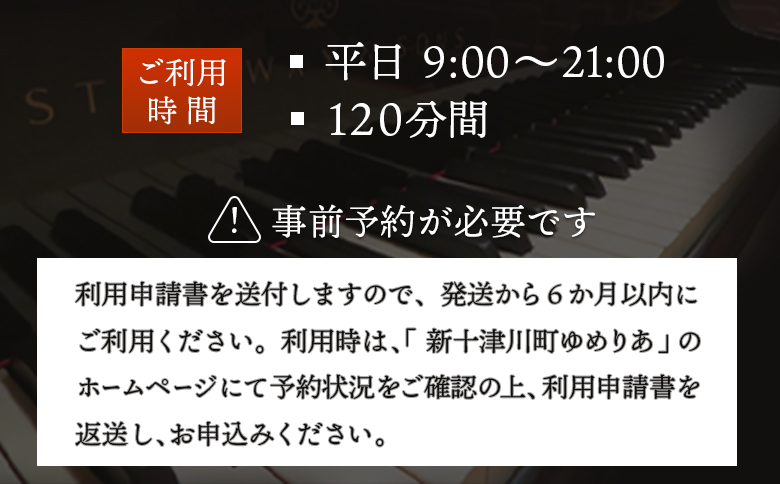スタインウェイピアノ 試弾券 120分 平日限定 ｜ オンライン 申請 ふるさと納税 北海道 新十津川 ピアノ スタンウェイピアノ ピアノ試弾券 体験 ピアノ体験 ピアノ弾き放題 新十津川町【2100101】