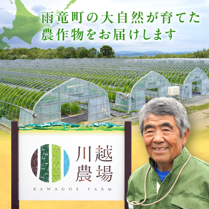 【先行受付】2026年発送 朝採りグリーンアスパラ   500g＜ 川越農場 ＞野菜 春 夏 北海道アスパラ 雨竜町産 パスタ サラダ スープ 旬 やわ旨