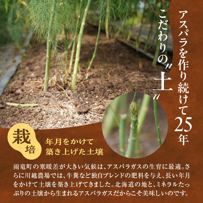 【先行受付】2026年発送 朝採りグリーンアスパラ  2kg＜ 川越農場 ＞野菜 春 夏 北海道アスパラ 雨竜町産 パスタ サラダ スープ 旬 やわ旨