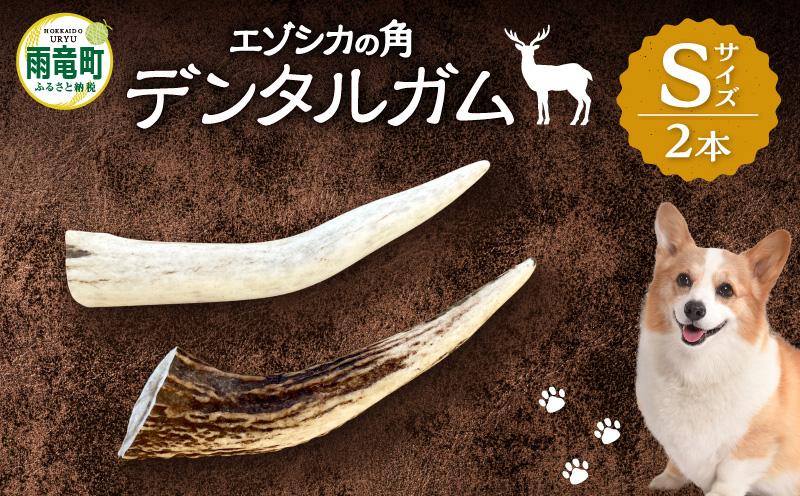 【数量限定】エゾシカの角 デンタルガム Sサイズ2本