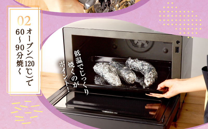 ãæ°ééå®ãåæµ·ééšç«çºç£ ãã€ãŸãã é£ã¹æ¯ã¹ã»ãããã·ã«ã¯ã¹ã€ãŒãã»çŽ
ã¯ããã M-Lãµã€ãº 2.5kg 倧ãããµã€ãº ç£å°çŽé ãã€ãŸãã ãµããã€ã¢ åæµ·é åœç£ ãã〠ãèåäœã æç