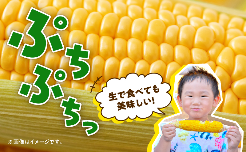 ã什å8幎ç£å
è¡åä»ãçã§ãçŸå³ããïŒ ãšããããã ã ãµããŒã·ã§ã³ã© ã 10æ¬ïŒLãµã€ãºïŒãé
éäžå¯å°åïŒæ²çžã»é¢å³¶ã