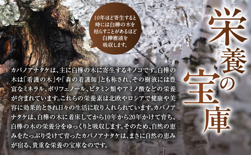 【数量限定】森のダイヤモンド「カバノアナタケ」150g