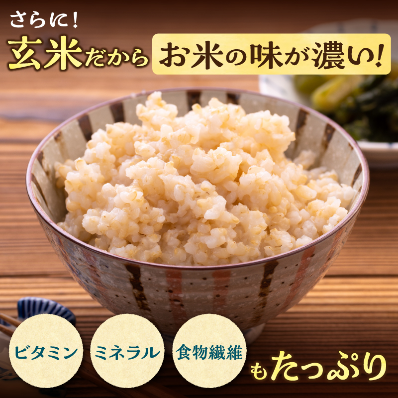 ãå®æäŸ¿å
š6åã什å7å¹Žç£ å·è¶ããã¡ã® ããŒãã¥ã çç±³ 5kgïŒ5kgÃ1è¢ïŒæ¯æ1åãå±ã éšç«ç£ ããŒãã¥ã çç±³ å®æäŸ¿ 5kg ãç±³ ãã«ãã ãåŒåœ ãåãå¯ã åæµ·é éšç«çº