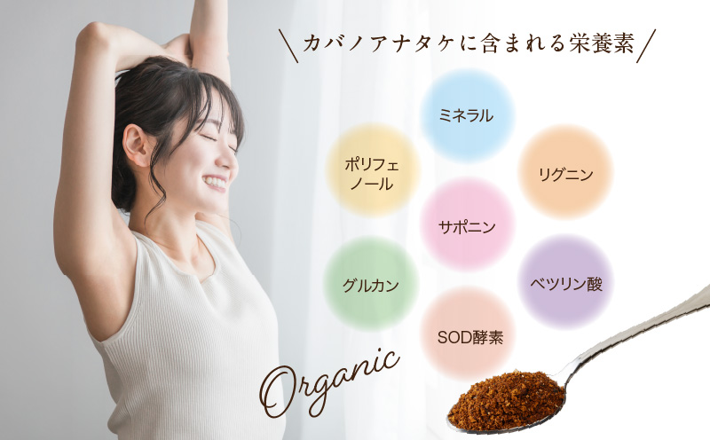 【数量限定】森のダイヤモンド「カバノアナタケ」150g