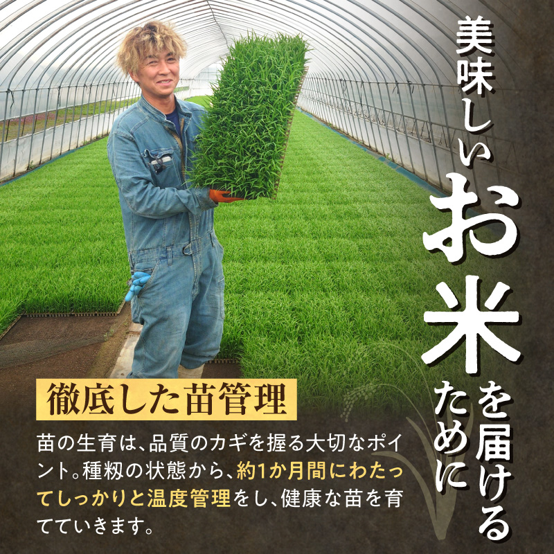 【隔月！定期便全4回】  北海道産 ななつぼし 精米 10kg 4回 特A 雨竜町 お米 米 厳選 人気 令和7年産 新米