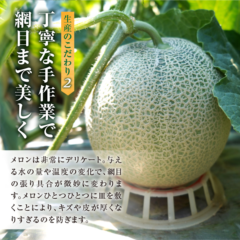 【令和8年産先行予約】北海道メロン 暑寒レッド 1玉 (1.6kg以上×1箱)《2026年9月より発送予定》メロン 先行予約 北海道 赤肉 糖度 14度以上 2026年 9月 ブランドメロン