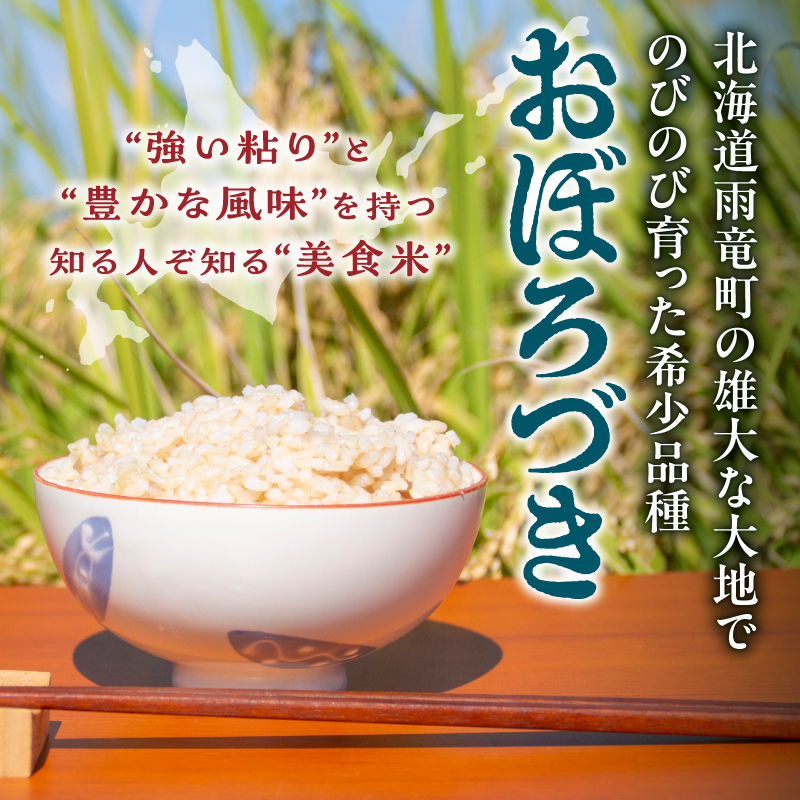 ãå®æäŸ¿å
š4åã什å7å¹Žç£ å·è¶ããã¡ã® ããŒãã¥ã çç±³ 10kgïŒ5kgÃ2è¢ïŒæ¯æ1åãå±ã éšç«ç£ ããŒãã¥ã çç±³ å®æäŸ¿ 10kg ãç±³ ãã«ãã ãåŒåœ ãåãå¯ã åæµ·é éšç«çº