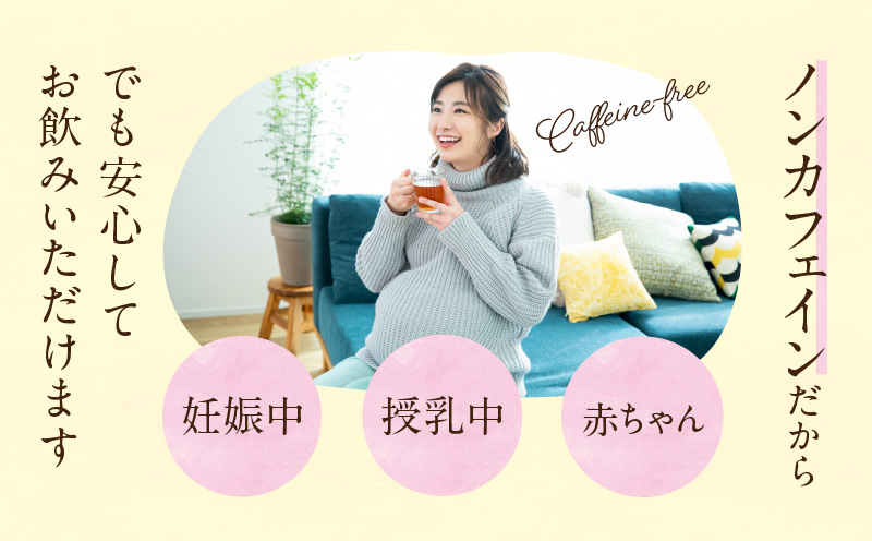 【数量限定】森のダイヤモンド「カバノアナタケ」150g