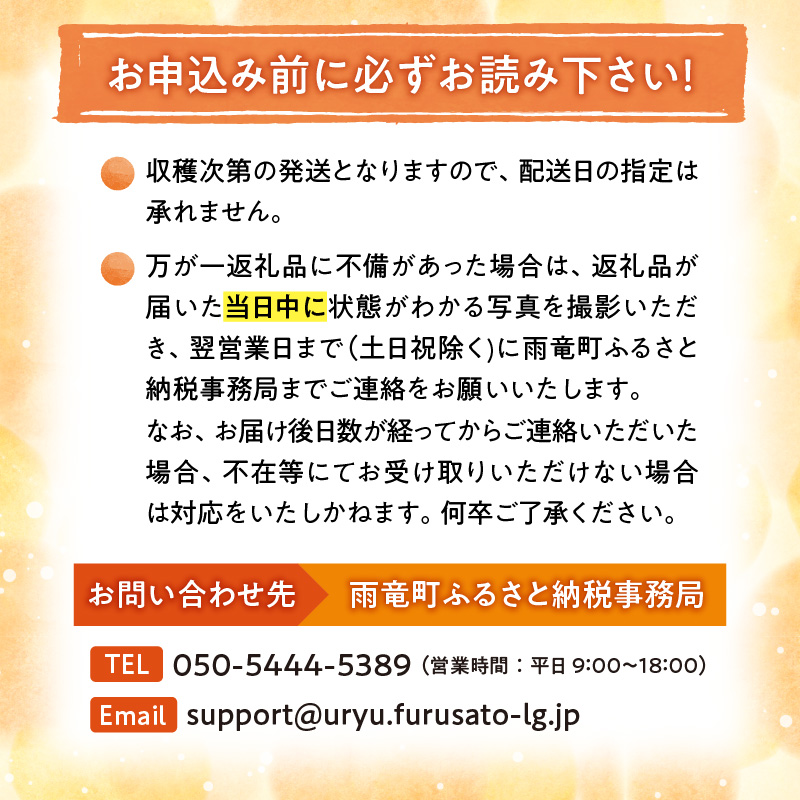 【令和8年産先行予約】北海道メロン 暑寒レッド 4〜5玉 (8kg以上×1箱)《2026年9月より発送予定》メロン 先行予約 北海道 赤肉 糖度 14度以上 2026年 9月 大容量 ブランドメロン