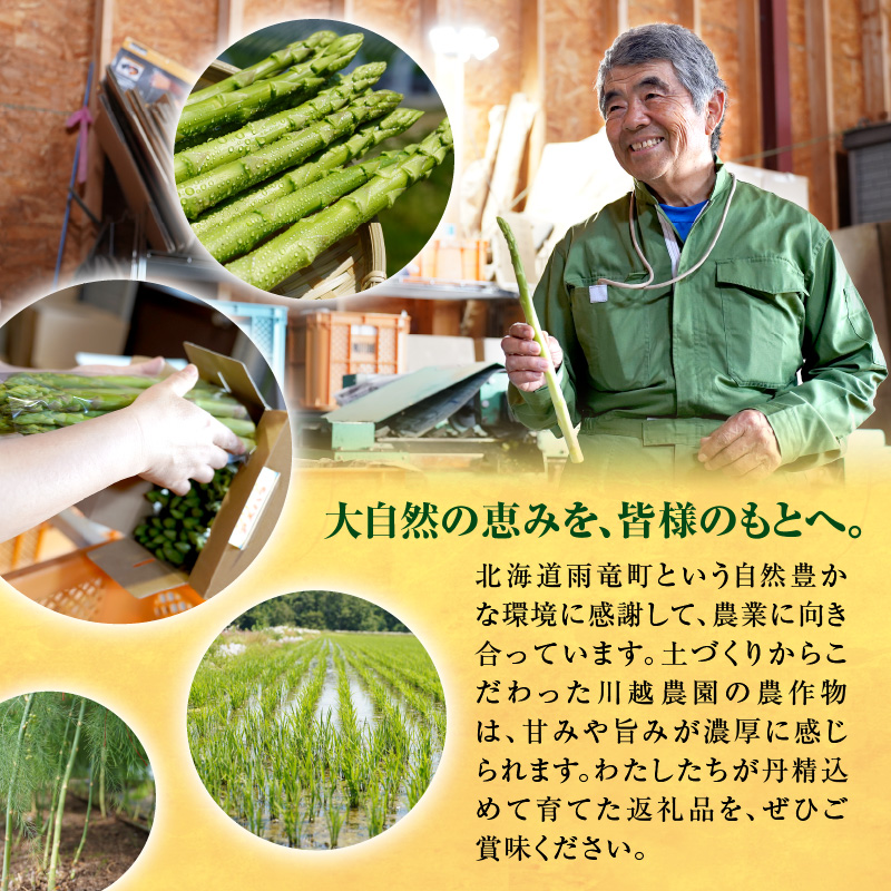 【先行受付】2026年発送 朝採りグリーンアスパラ   500g＜ 川越農場 ＞野菜 春 夏 北海道アスパラ 雨竜町産 パスタ サラダ スープ 旬 やわ旨