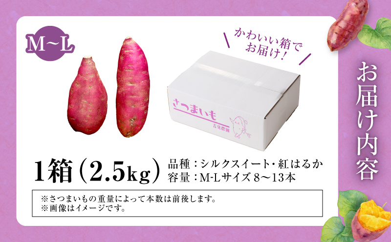 ãæ°ééå®ãåæµ·ééšç«çºç£ ãã€ãŸãã é£ã¹æ¯ã¹ã»ãããã·ã«ã¯ã¹ã€ãŒãã»çŽ
ã¯ããã M-Lãµã€ãº 2.5kg 倧ãããµã€ãº ç£å°çŽé ãã€ãŸãã ãµããã€ã¢ åæµ·é åœç£ ãã〠ãèåäœã æç