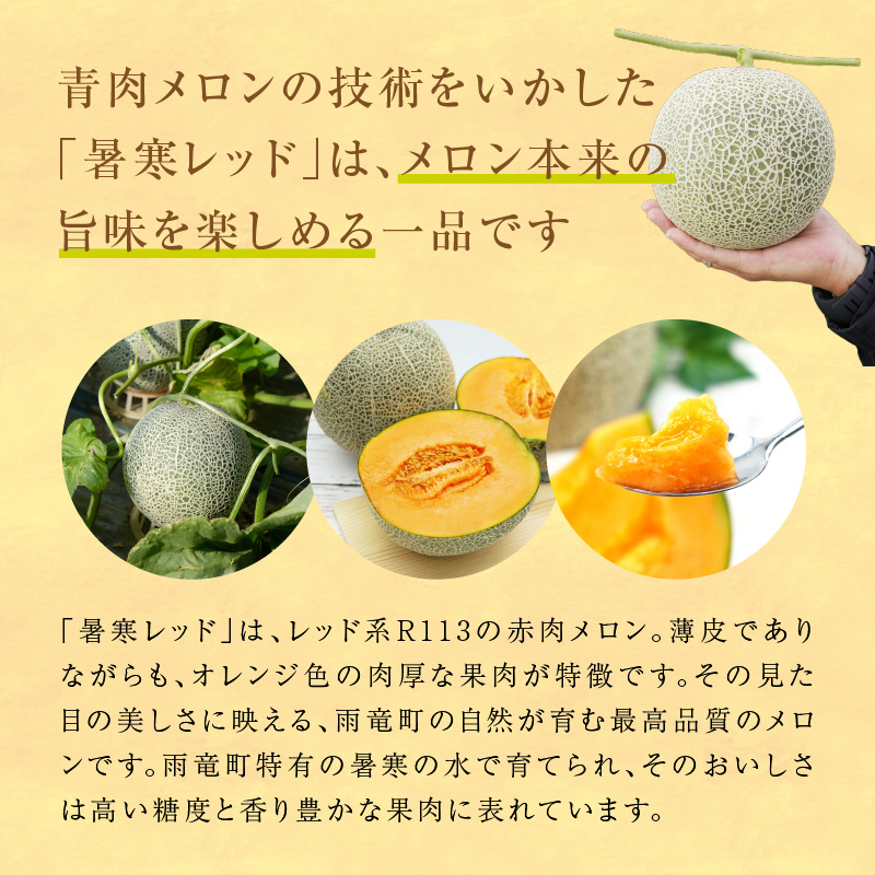 【令和8年産先行予約】北海道メロン 暑寒レッド 4〜5玉 (8kg以上×1箱)《2026年9月より発送予定》メロン 先行予約 北海道 赤肉 糖度 14度以上 2026年 9月 大容量 ブランドメロン