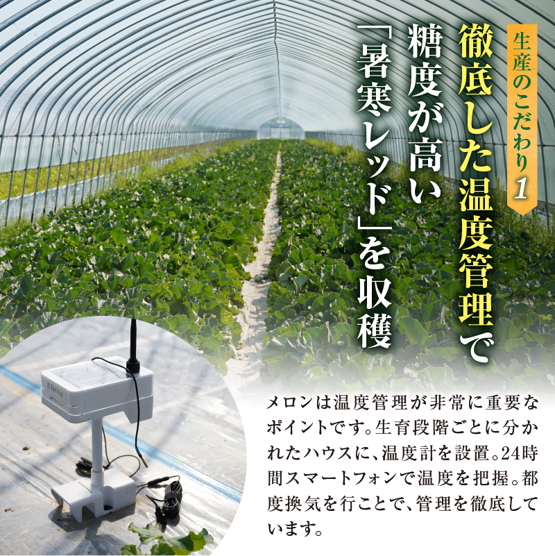 【令和8年産先行予約】北海道メロン 暑寒レッド 4〜5玉 (8kg以上×1箱)《2026年9月より発送予定》メロン 先行予約 北海道 赤肉 糖度 14度以上 2026年 9月 大容量 ブランドメロン