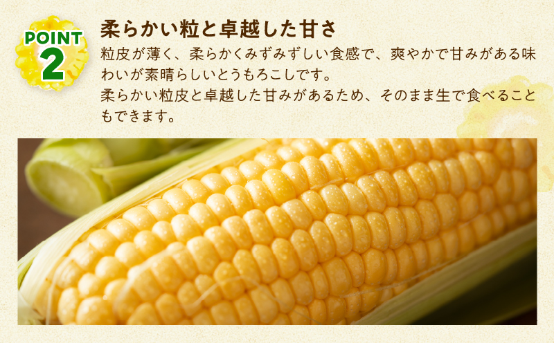 ã什å8幎ç£å
è¡åä»ãçã§ãçŸå³ããïŒ ãšããããã ã ãµããŒã·ã§ã³ã© ã 10æ¬ïŒLãµã€ãºïŒãé
éäžå¯å°åïŒæ²çžã»é¢å³¶ã