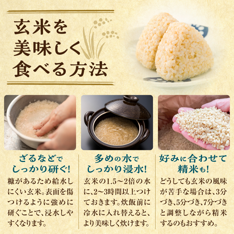 ãå®æäŸ¿å
š4åã什å7å¹Žç£ å·è¶ããã¡ã® ããŒãã¥ã çç±³ 10kgïŒ5kgÃ2è¢ïŒæ¯æ1åãå±ã éšç«ç£ ããŒãã¥ã çç±³ å®æäŸ¿ 10kg ãç±³ ãã«ãã ãåŒåœ ãåãå¯ã åæµ·é éšç«çº