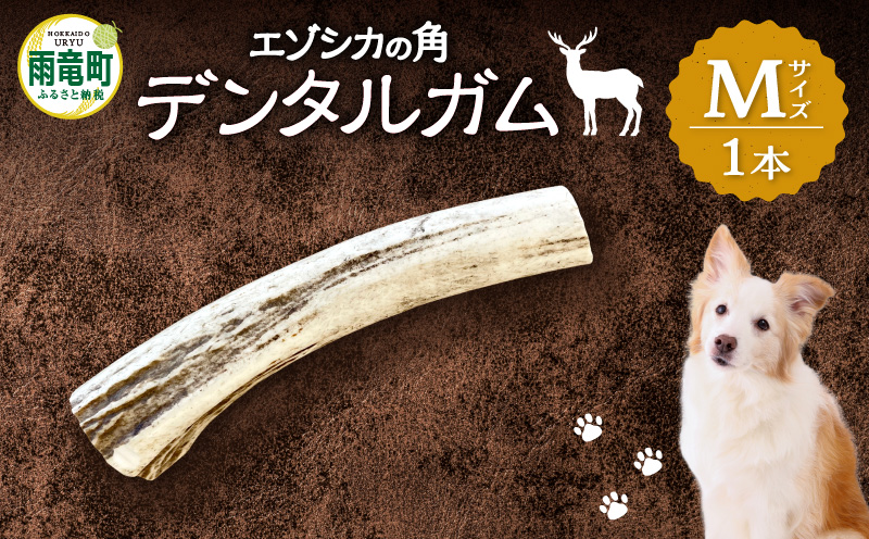 【数量限定】エゾシカの角デンタルガムMサイズ（中型犬向け）